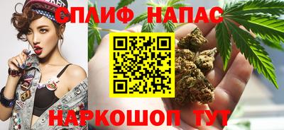ешки Будённовск