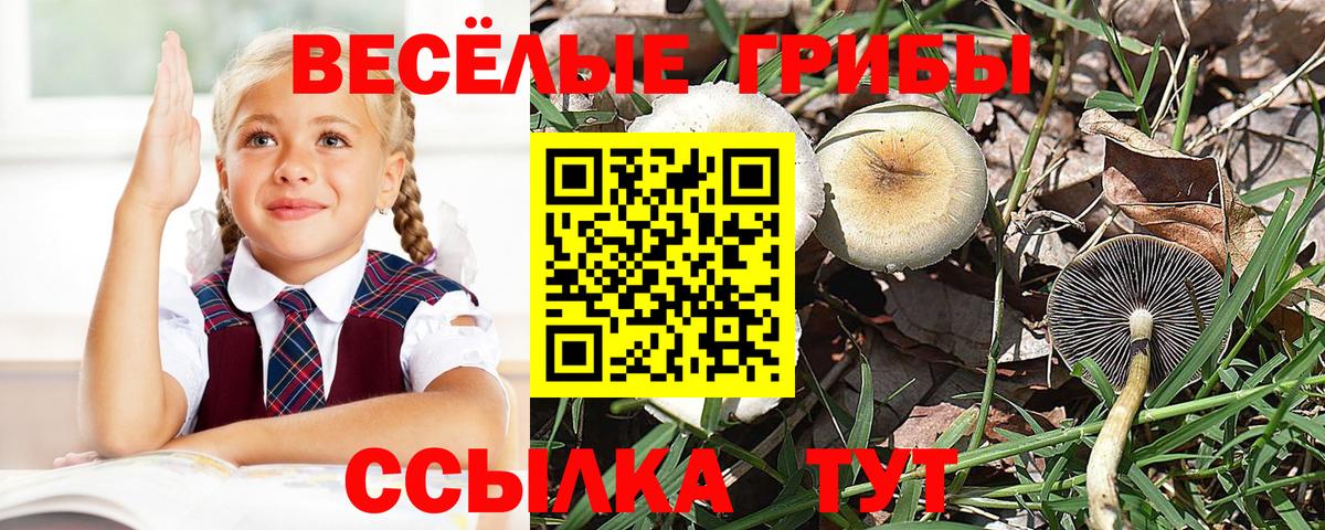 Галлюциногенные грибы Magic Shrooms Старая Купавна